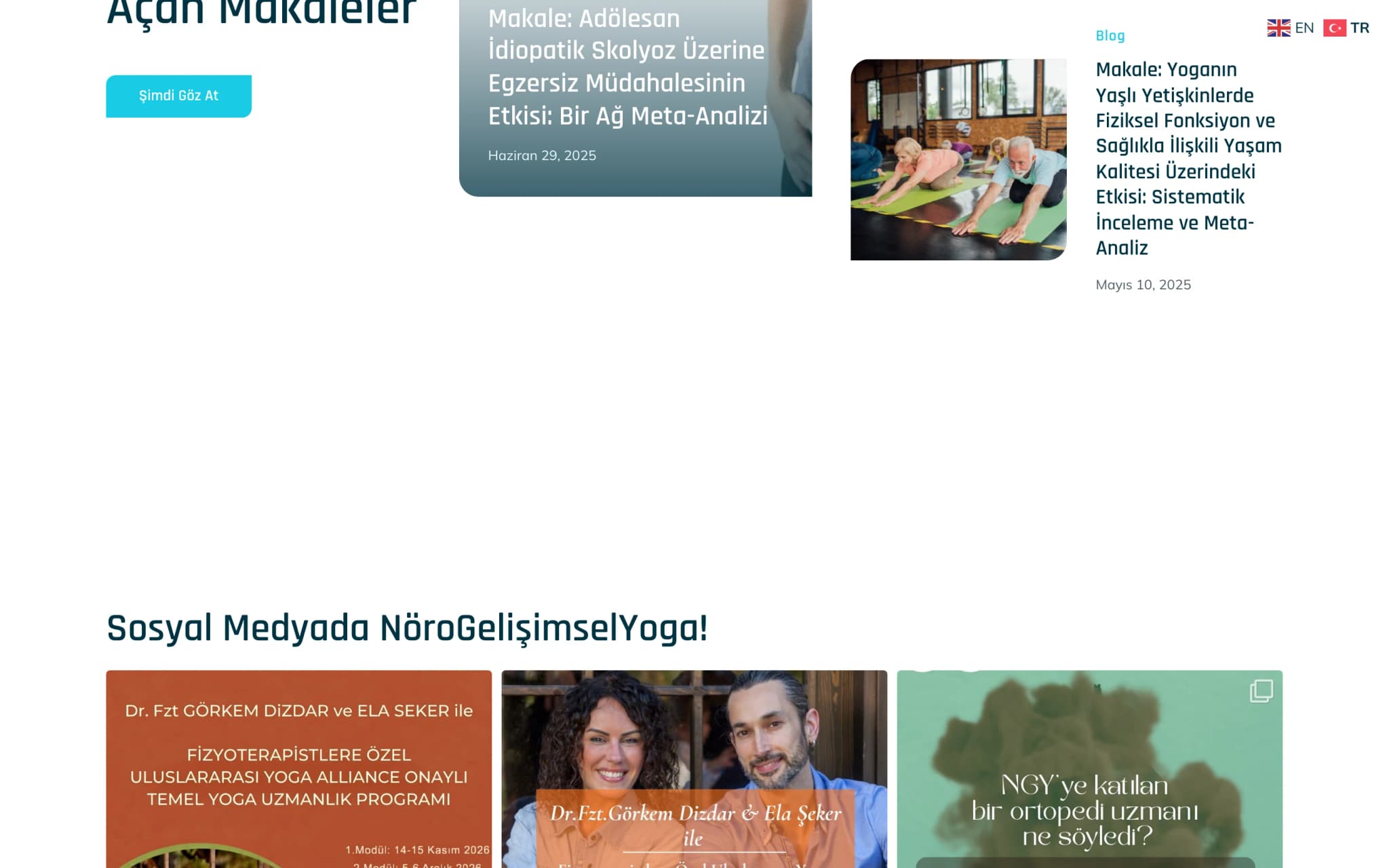 Nöro Gelişimsel Yoga 1